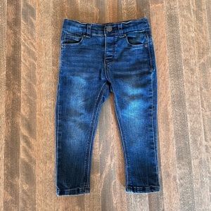 EUC Zara Skinny Jeans